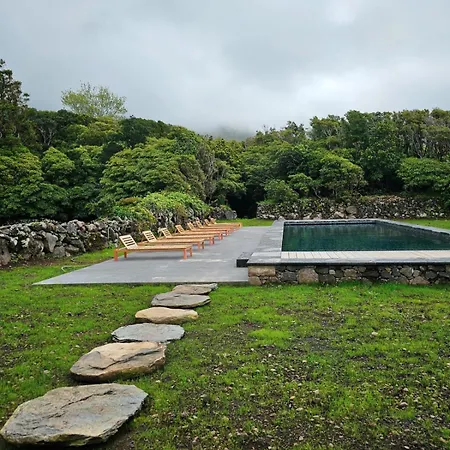 ألديا دا كوادا