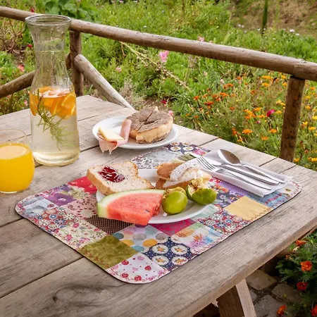 ألديا دا كوادا Faja Grande